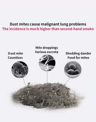 🎁 Last Day Promotion Save 75% - DEEP VACUUM DUST & MITE REMOVAL